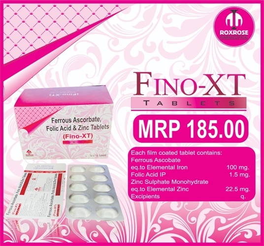 FINO-XT